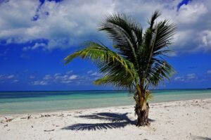 Exploring the Tropical Paradise: A March Holiday in Cuba