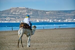 Visit Agadir, Morocco: A Sun-Kissed Oasis